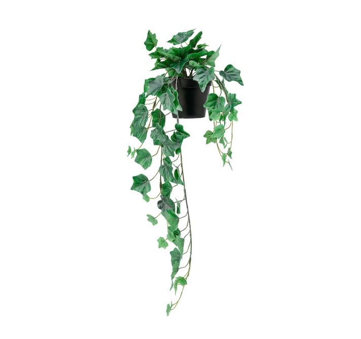 fejka hanging plant IKEA FEJKA Artificial Potted Plant, In-Outdoor-Hanging Ivy 12 cm – Onepoint