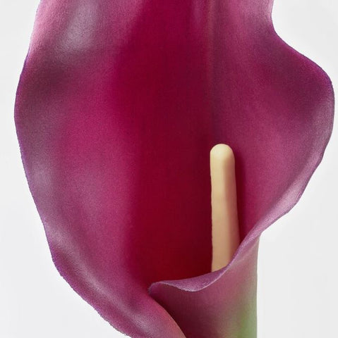 IKEA SMYCKA Artificial Flower, Calla, Purple, 67 cm
