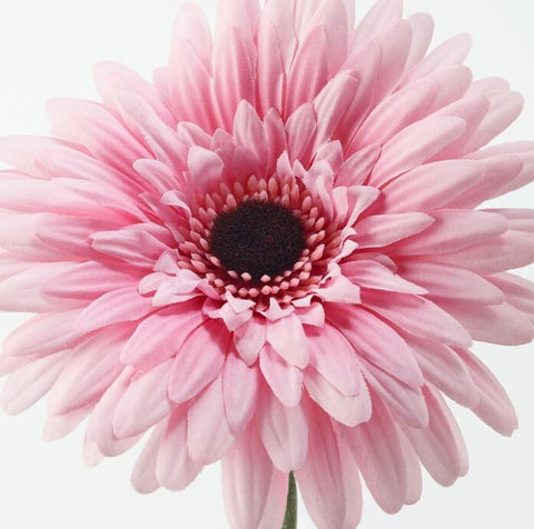 IKEA SMYCKA Artificial Flower, Gerbera - Pink 50 cm