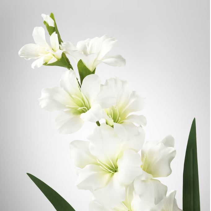 IKEA SMYCKA Artificial Flower, Gladiolus, White, 100 cm