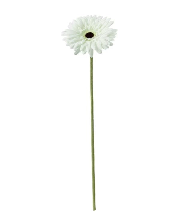 IKEA SMYCKA Artificial flower, Gerbera, white, 50 cm