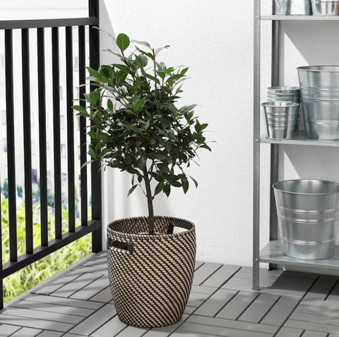IKEA RAGKORN Plant Pot, In-Outdoor Dark Grey/Beige, 24 cm