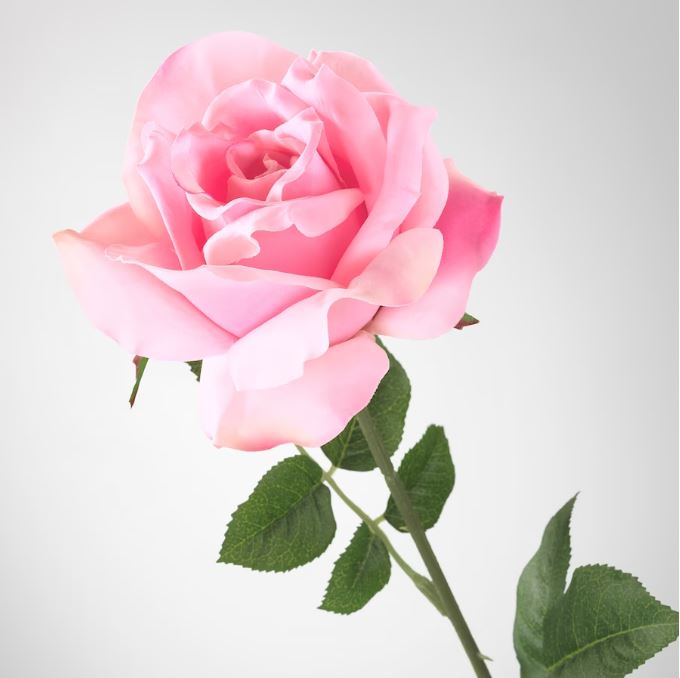 IKEA SMYCKA Artificial Flower, Rose, Pink, 75cm