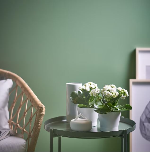 papaja plant pot ikea Buy IKEA PAPAJA Plant Pot, White 9 cm in Pakistan – Onepoint