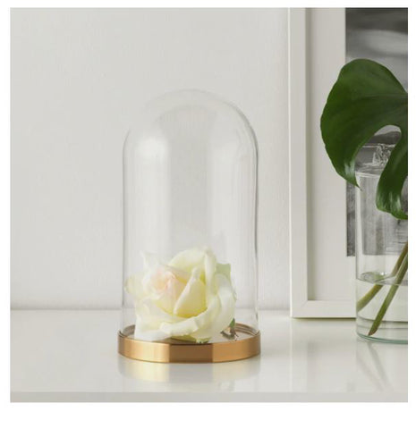 IKEA BEGAVNING Glass dome with base, For Home Decoration, Dome and Table Decoration, 26 cm