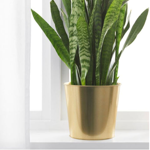 IKEA DAIDAI Plant pot, Artificial Plant Pot, Decoration Accent, Brass-Colour 19 cm