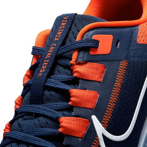 Nike zoom pegasus price hot sale