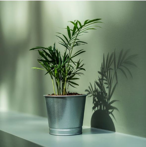 IKEA BINTJE Plant Pot, Galvanised, 9 cm