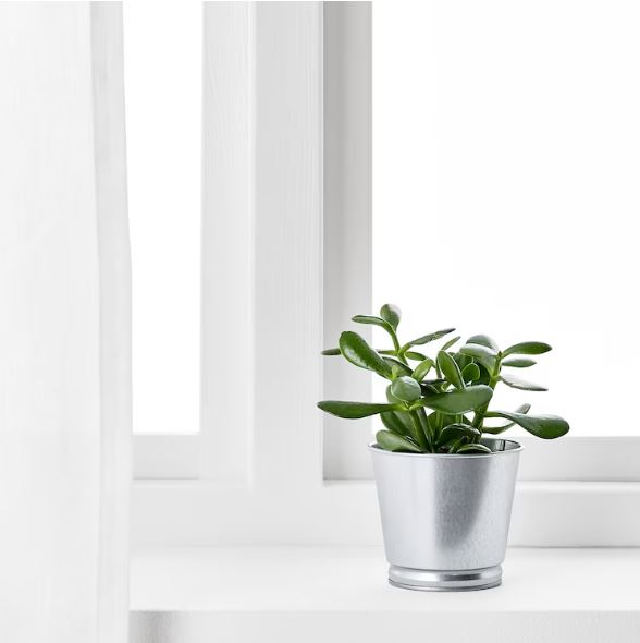 IKEA BINTJE Plant Pot, Galvanised, 9 cm