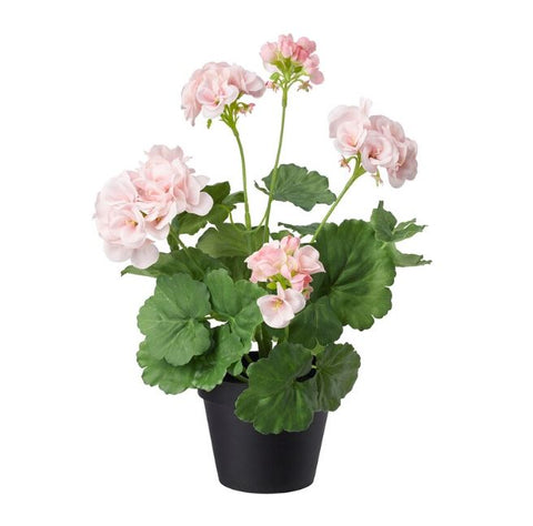 IKEA FEJKA Artificial Potted Plant, in/outdoor, Geranium Pink, 12cm