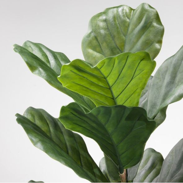 IKEA FEJKA Artificial potted plant, in/outdoor fiddle-leaf fig, 19 cm