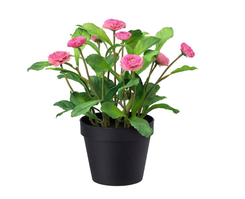 IKEA FEJKA Artificial Potted Plant, in/outdoor, Common Daisy Pink, 12 cm