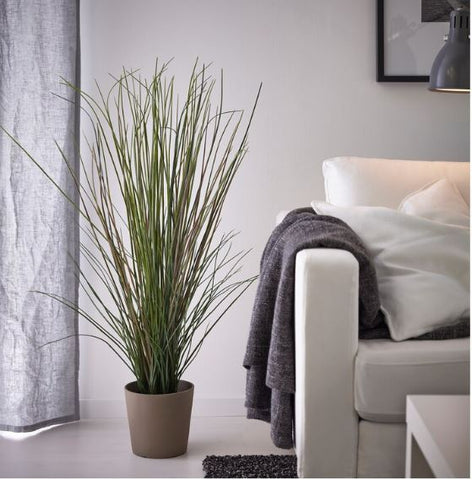IKEA FEJKA Artificial Potted Plant, Grass, 17 cm