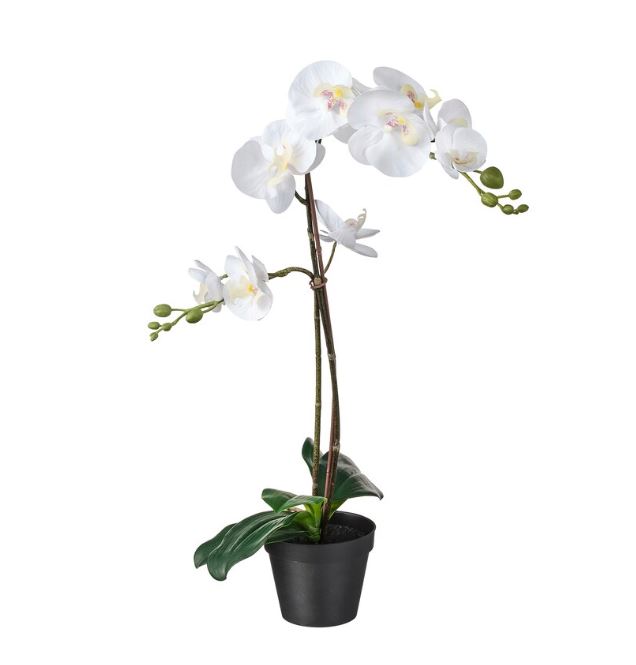 IKEA FEJKA Artificial Potted Plant, Orchid White 12 cm