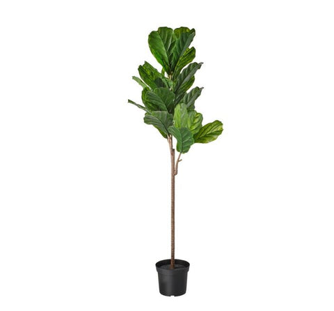 IKEA FEJKA Artificial potted plant, in/outdoor fiddle-leaf fig, 19 cm
