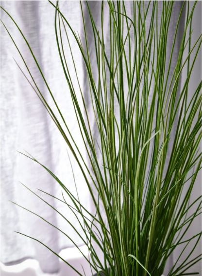 IKEA FEJKA Artificial Potted Plant, Grass, 17 cm