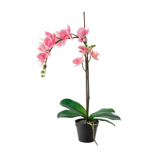 IKEA FEJKA Artificial potted plant, Orchid pink, 12 cm