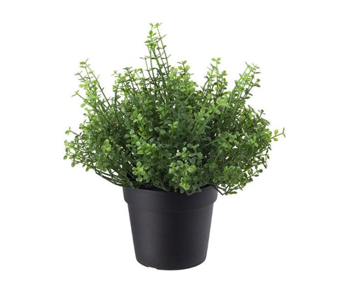 IKEA FEJKA Artificial potted plant, in/outdoor Baby’s Tears, 9 cm