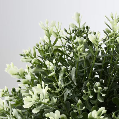 IKEA FEJKA Artificial Potted Plant, Thyme - 9cm