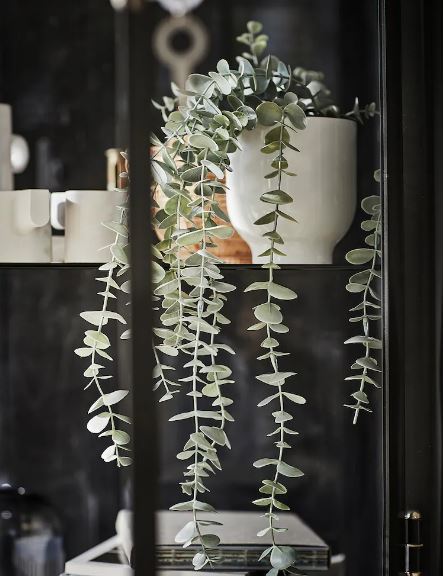 IKEA FEJKA Artificial Potted Plant in-outdoor Hanging- Eucalyptus 9 cm