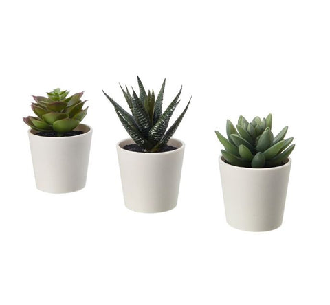 IKEA FEJKA Artificial Potted Plant with Pot, in/outdoor Succulent, 6cm 3pack