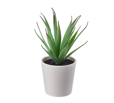 IKEA FEJKA Artificial Potted Plant With Pot, In-Outdoor Succulent, 6 cm