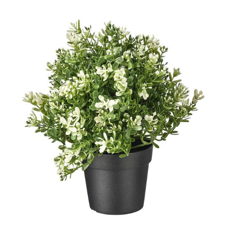 IKEA FEJKA Artificial Potted Plant, Thyme - 9cm