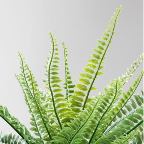 IKEA FEJKA Artificial Potted Plant, in/Outdoor Fern 9 cm