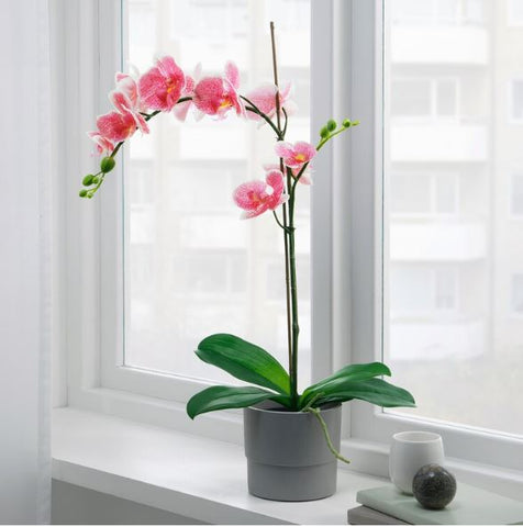 IKEA FEJKA Artificial potted plant, Orchid pink, 12 cm
