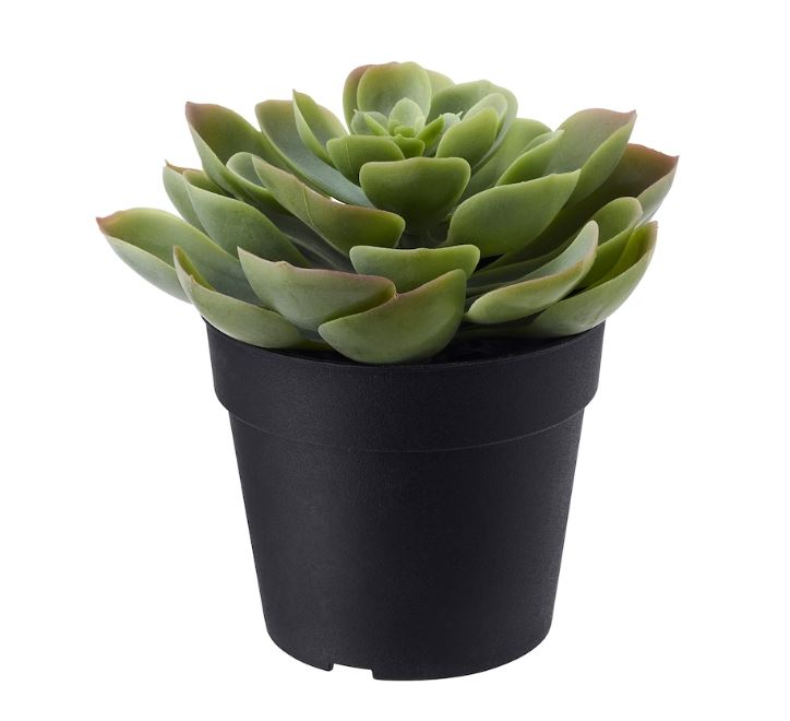 IKEA FEJKA Artificial Potted Plant, in/outdoor Succulent, 9 cm