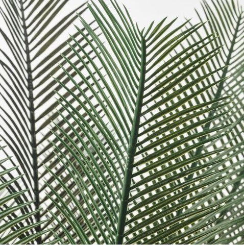 IKEA FEJKA Artificial Potted Plant, in/outdoor Sago Palm, 19 cm