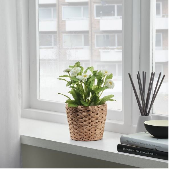 IKEA FRIDFULL Plant Pot, Water Hyacinth, 12 cm