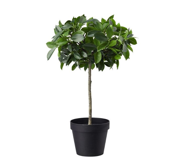 IKEA FEJKA Artificial Potted Plant, in/outdoor, Weeping fig stem, 12 cm