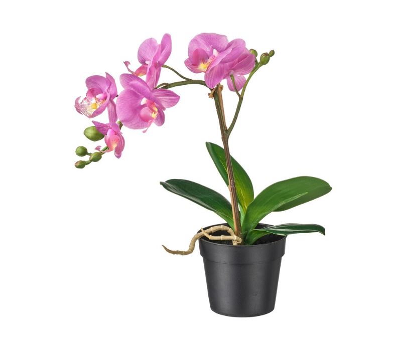 IKEA FEJKA Artificial Potted Plant, Orchid Lilac, 9 cm
