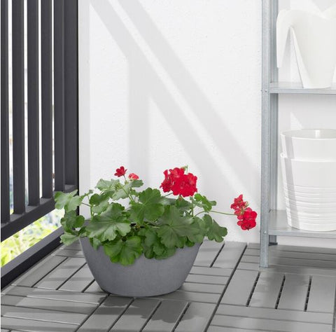 citruskrydda plant pot IKEA CITRUSKRYDDA Plant Pot, In-Outdoor Grey 33 cm – Onepoint