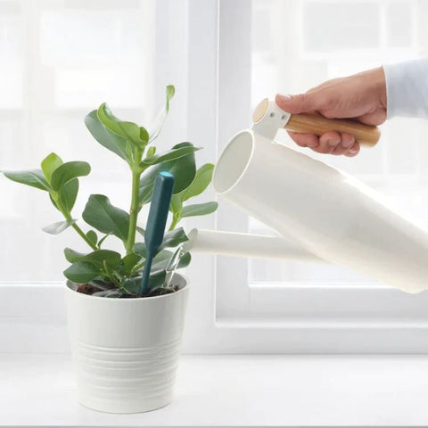IKEA CHILIPULVER Plant Watering Sensor, Green