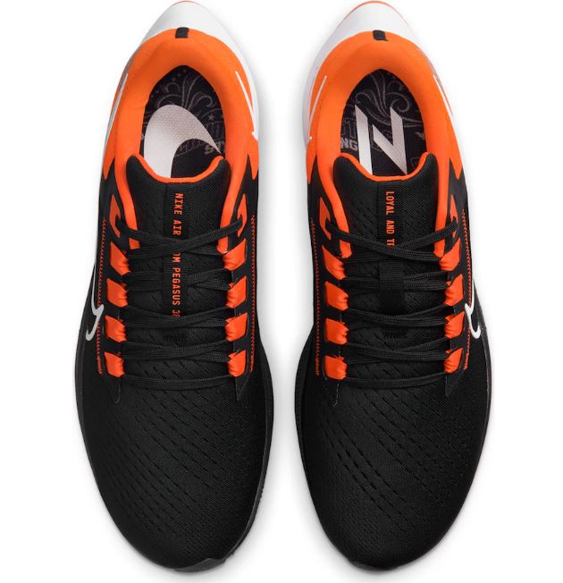 oklahoma state pegasus 38