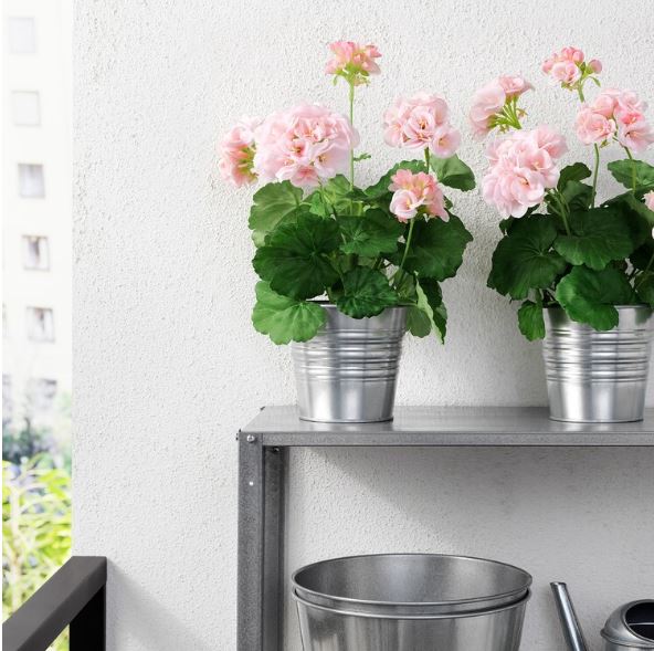 IKEA FEJKA Artificial Potted Plant, in/outdoor, Geranium Pink, 12cm
